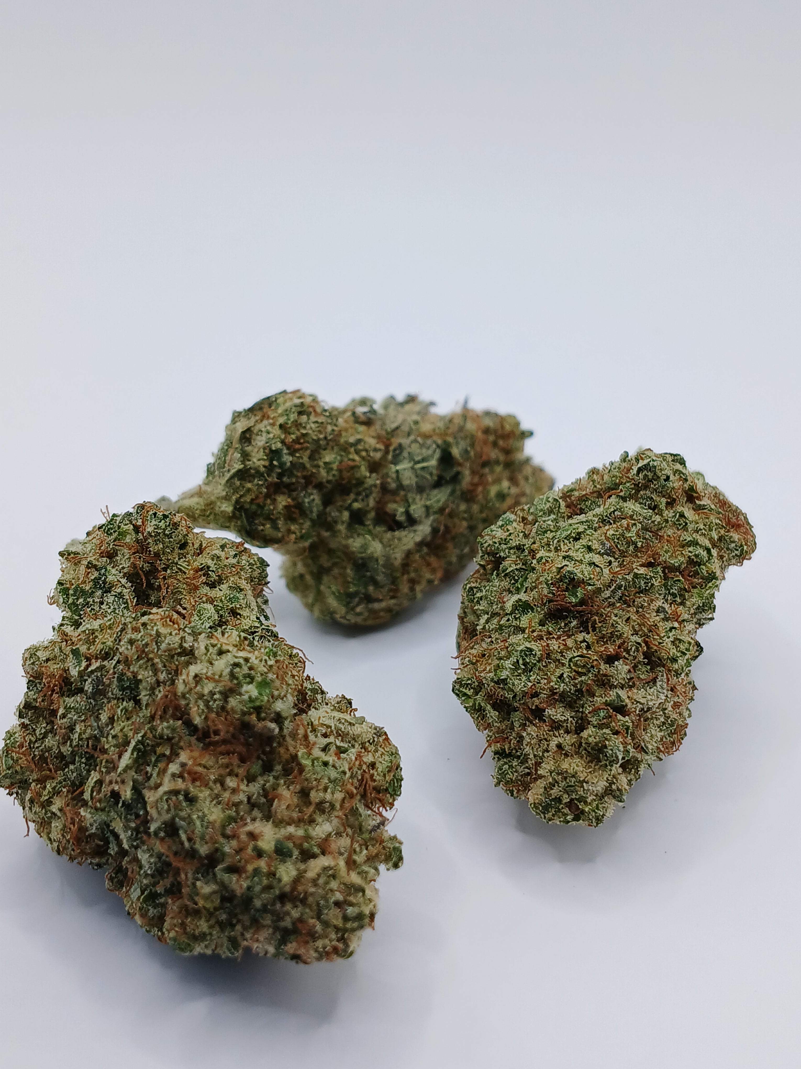 Malabar (2g à 50g)