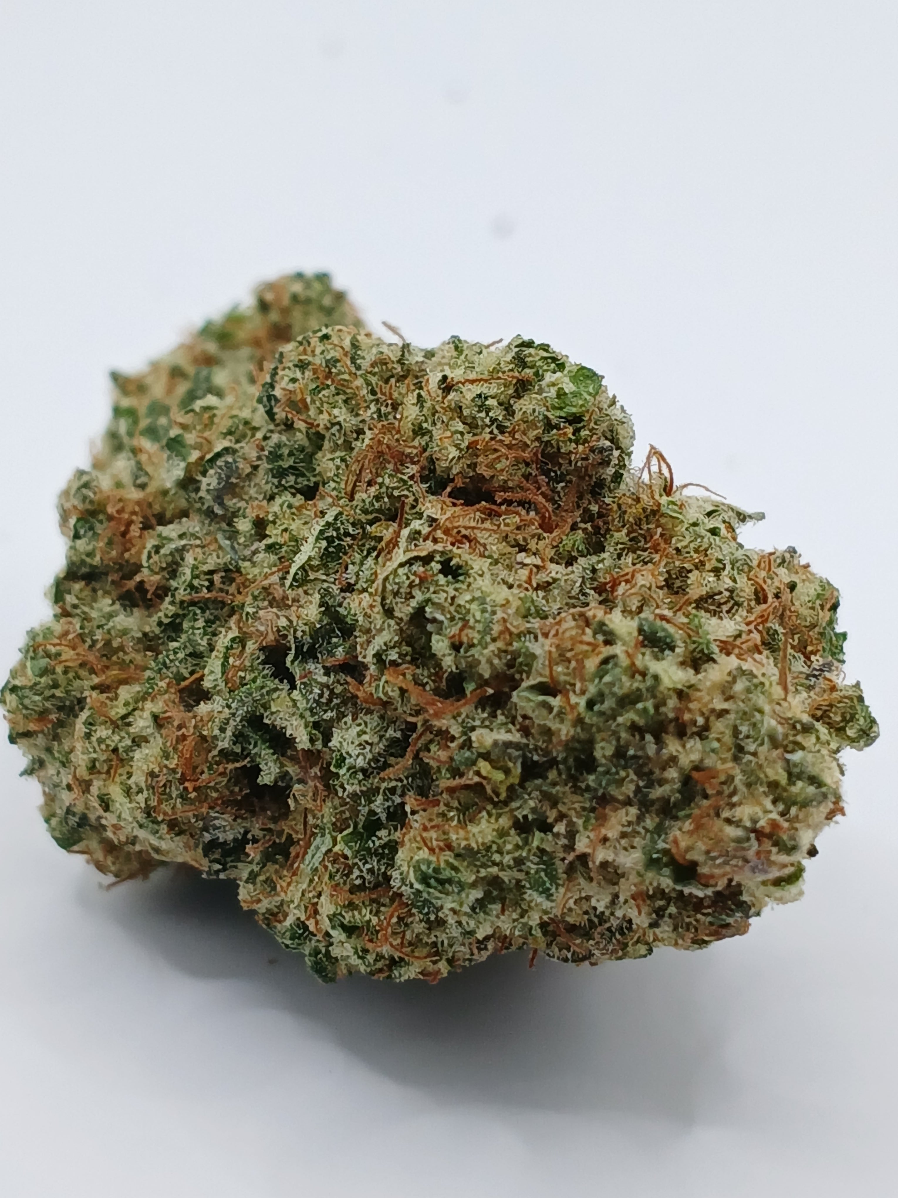 Malabar (2g à 50g)