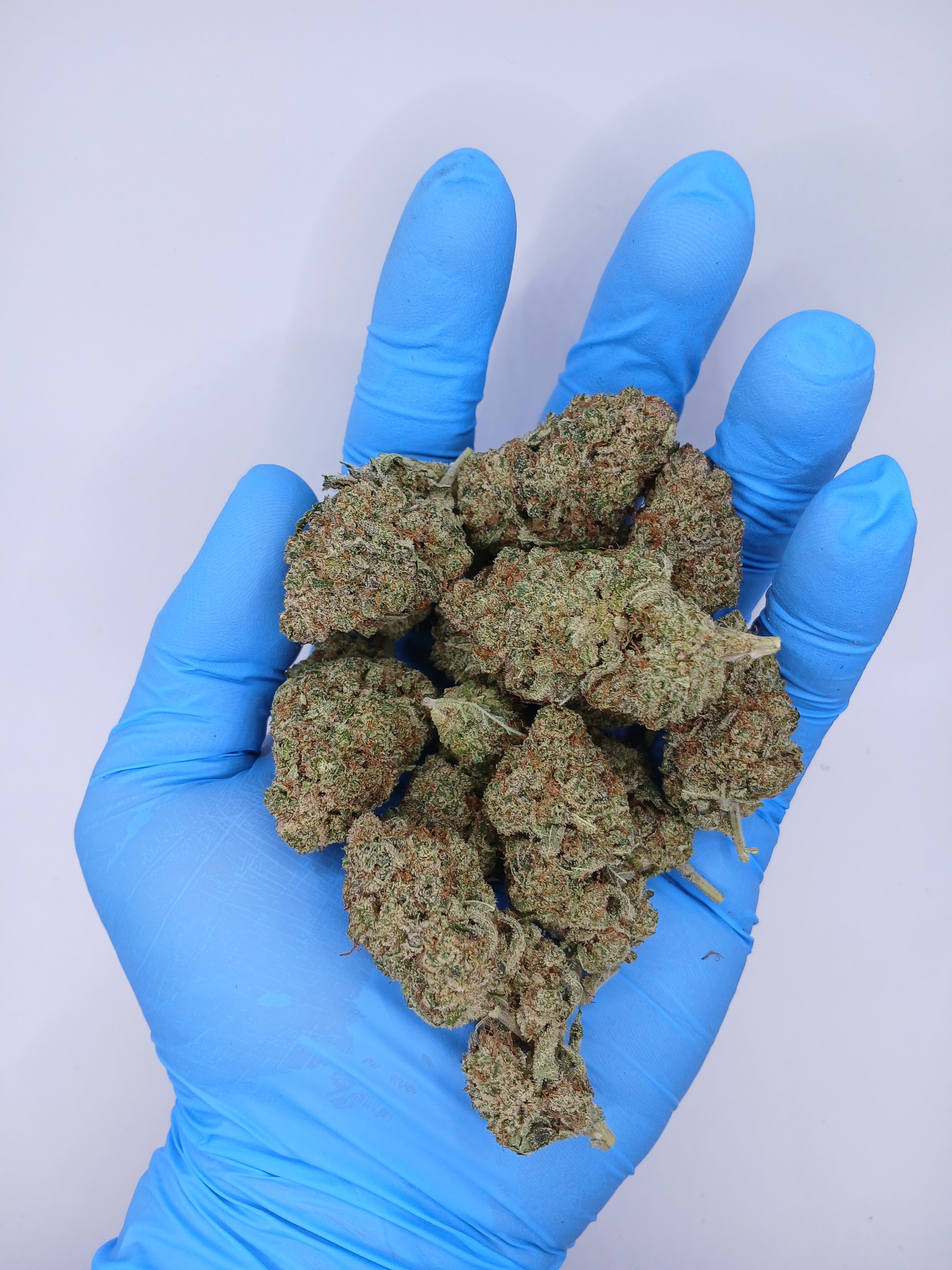 Malabar (2g à 50g)