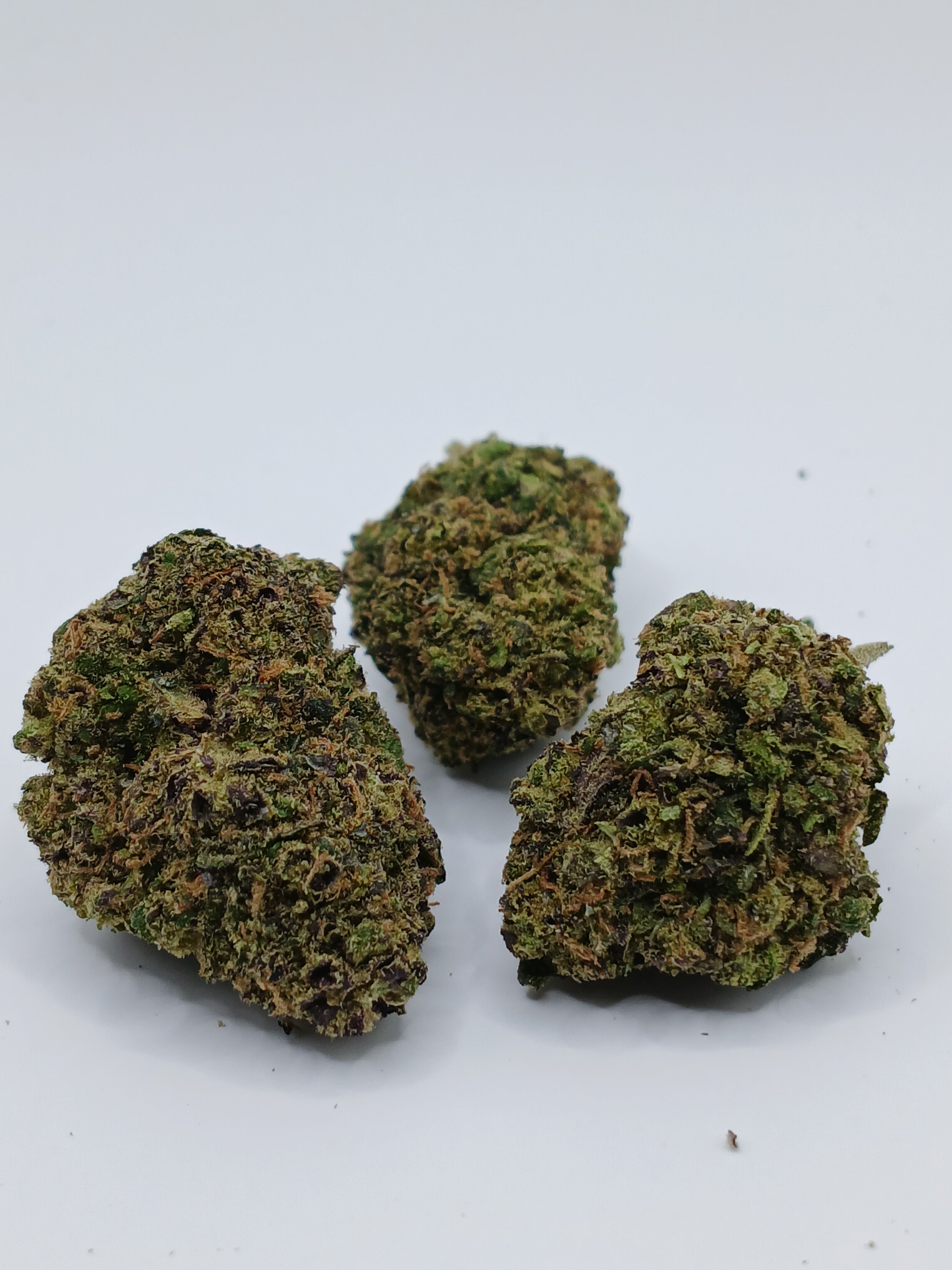 Gelato 41 (2g à 50g)