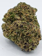 Gelato 41 (2g à 50g)