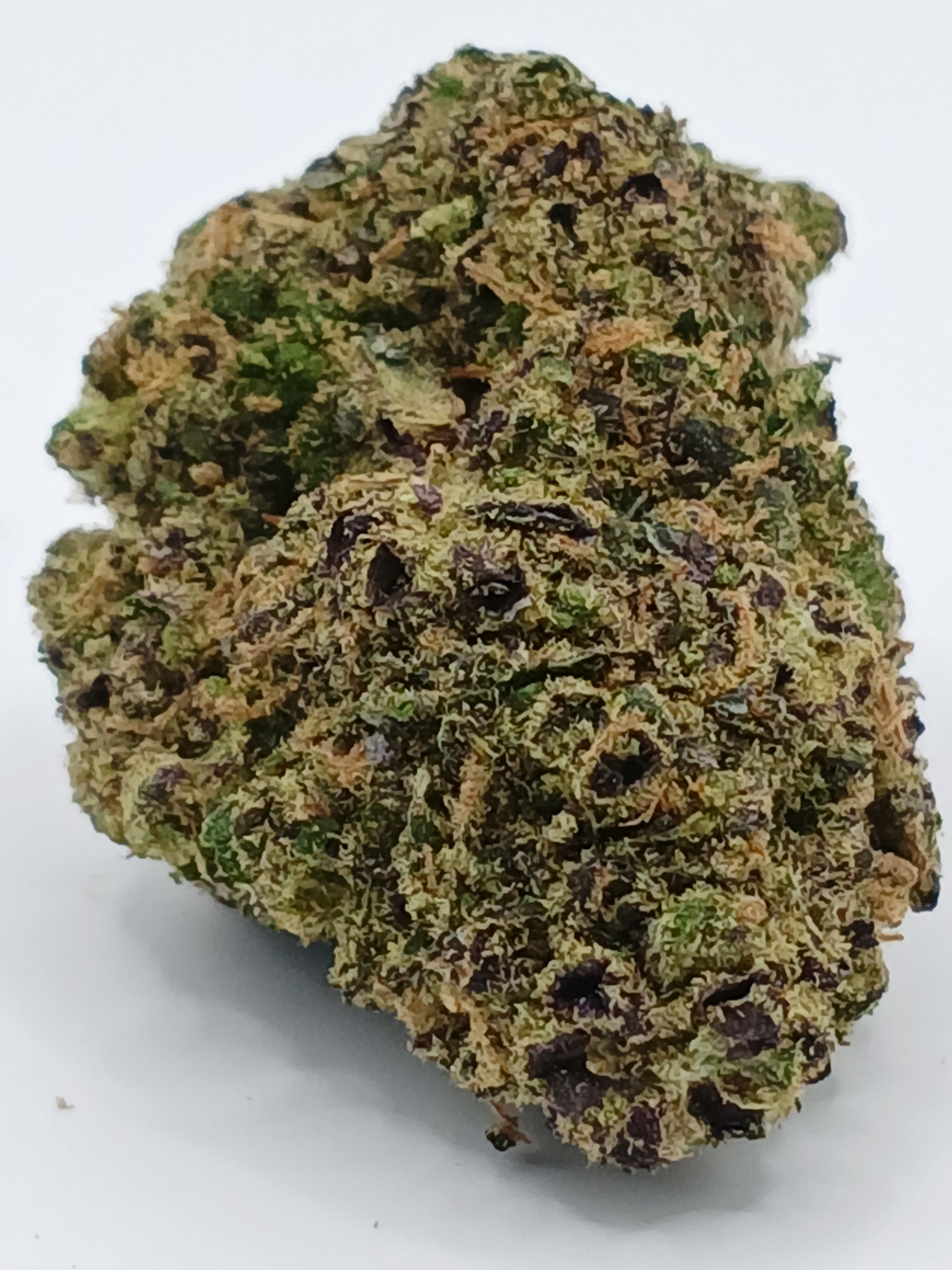 Gelato 41 (2g à 50g)