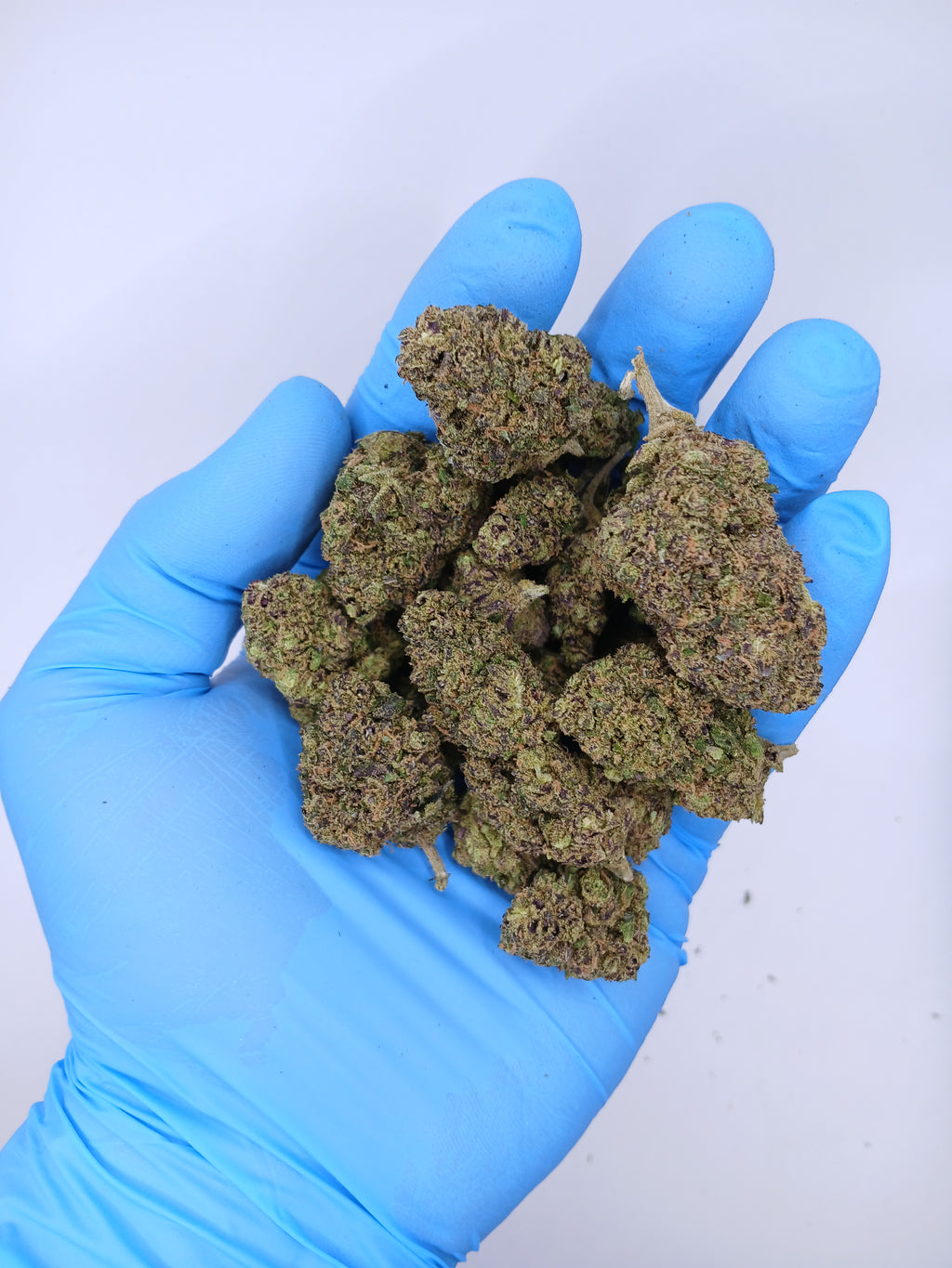 Gelato 41 (2g à 50g)