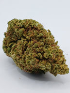 Amnésia (2g à 50g)