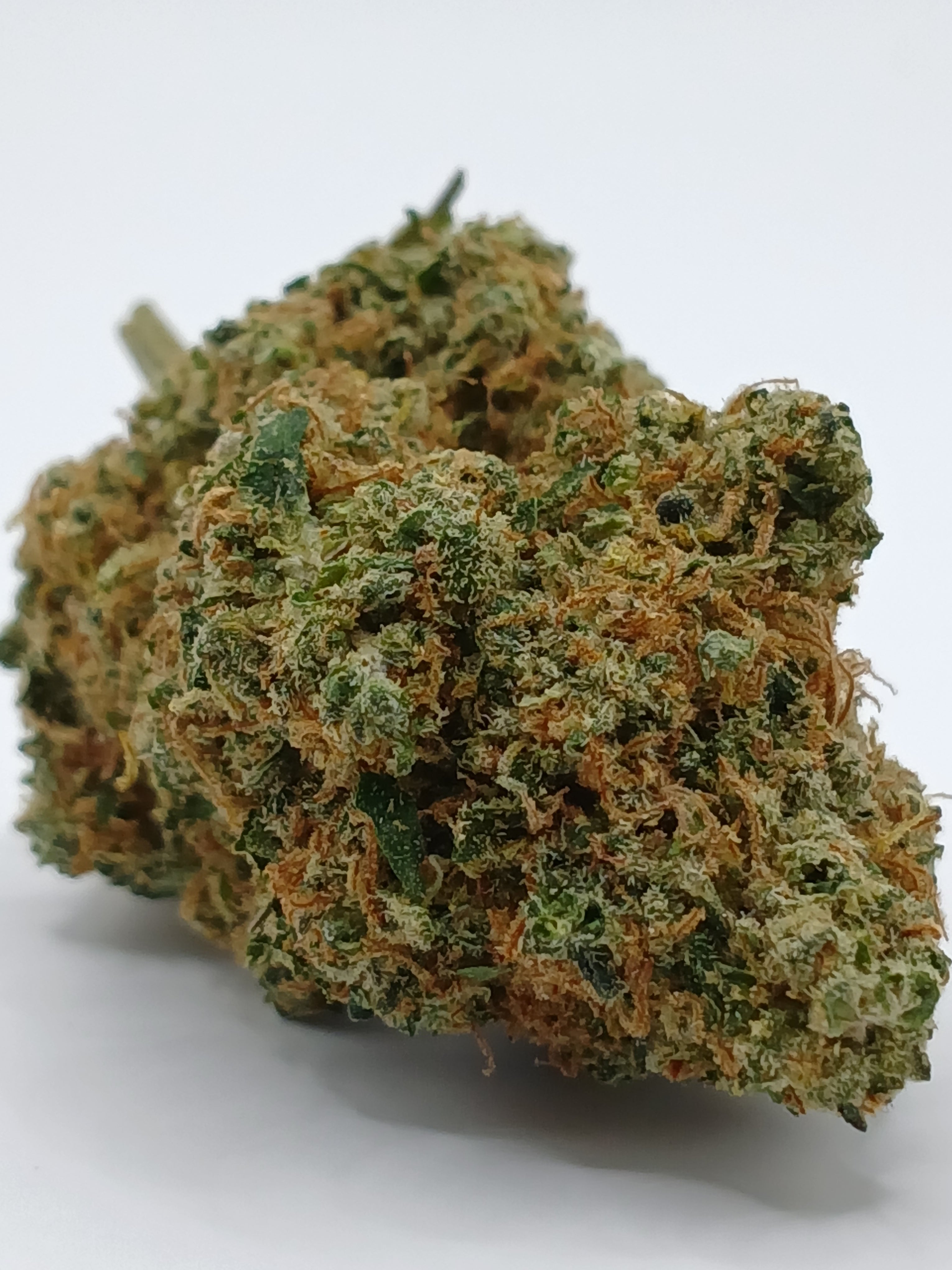 Blueberry Muffin (2g à 50g)