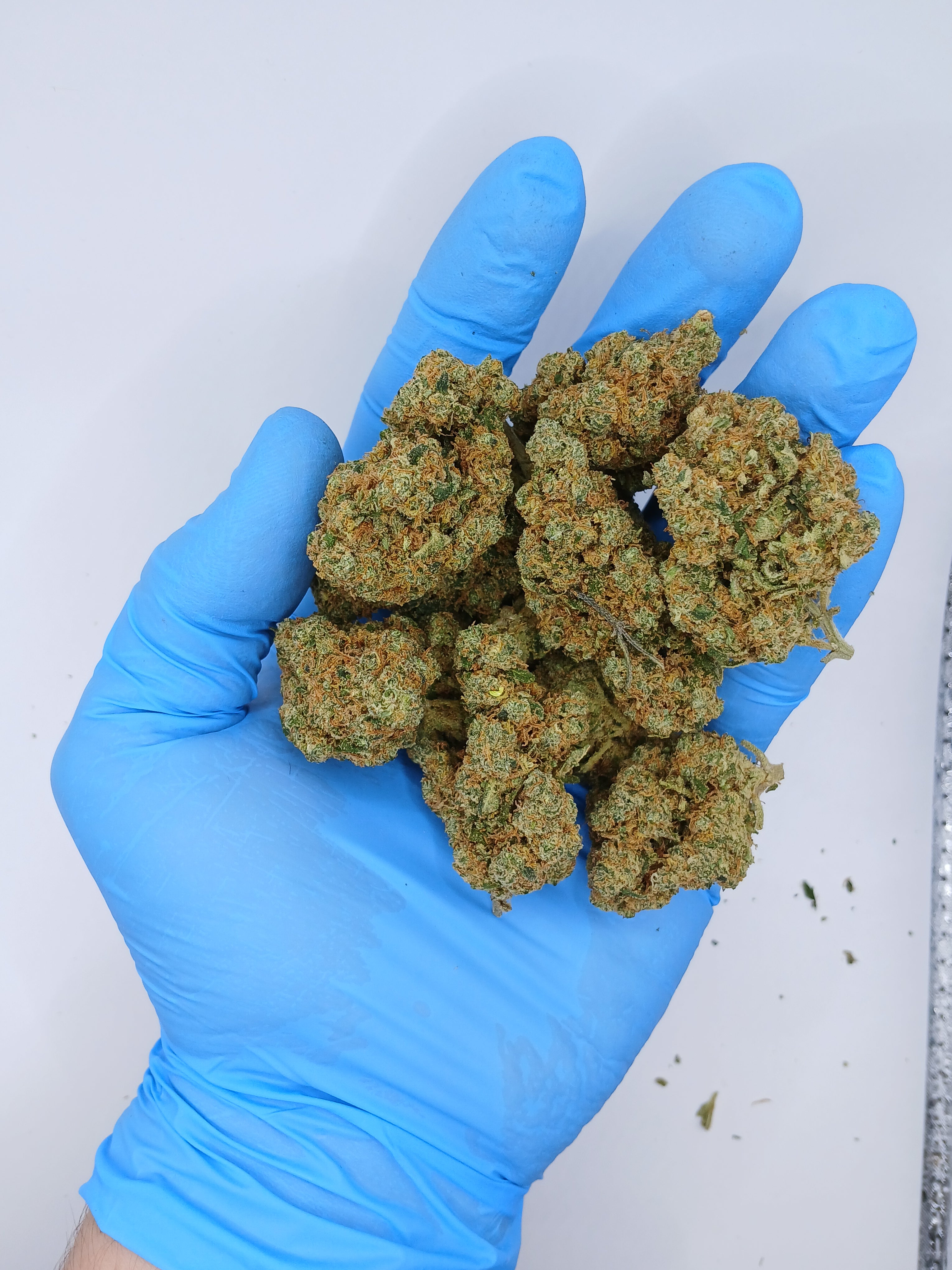 Blueberry Muffin (2g à 50g)